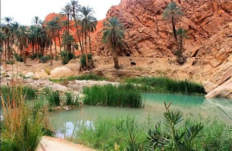 Pin by Aicha.Touhami on L'Algérie, le paradis sur terre | Sahara, Scenery, Landscape