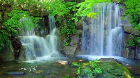 Beautiful Relaxing Waterfall Music • Peaceful Piano Music & Violin Music - YouTube