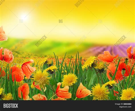 Dreamy Landscape Image & Photo (Free Trial) | Bigstock