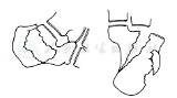 疾病详情 疾病 人卫临床助手 人�卫生出版社 sketch template