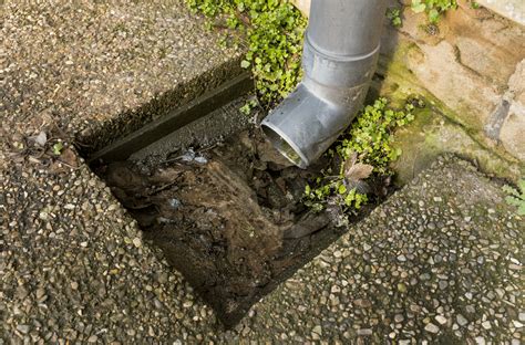 What Causes A Blocked Drain? | CDC Draincare Leeds | Drain Unblocking