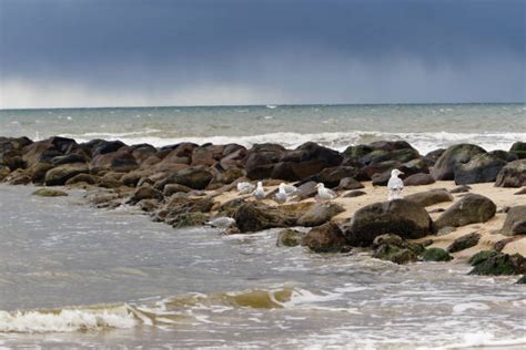 260+ Esbjerg Attractions Stock Photos, Pictures & Royalty-Free Images - iStock