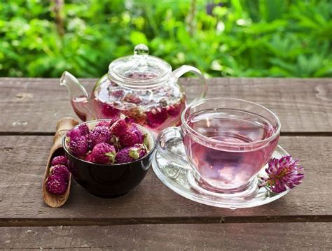 7 Kidney Detoxing Tea Recipes - The Best Place for Complete Male ...