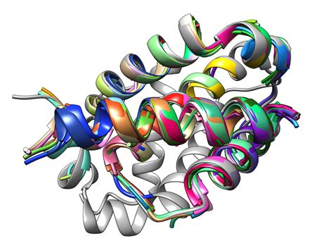 Predicting sequence from structure - MIT Department of Biology