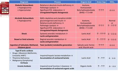 Anion Gap Metabolic Acidosis Differential