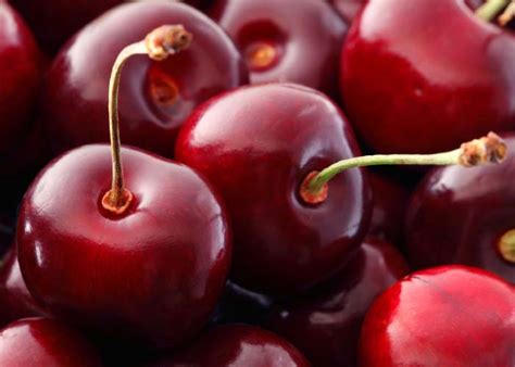 Cherry Varieties NEW – Tangara Nursery