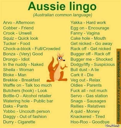 HAPPY AUSTRALIA DAY | Funny australian, Australia funny, Australia slang