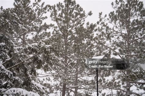 Starlink Antenna Dish Mounted To A Pole Falling Snow Melts Off The ...