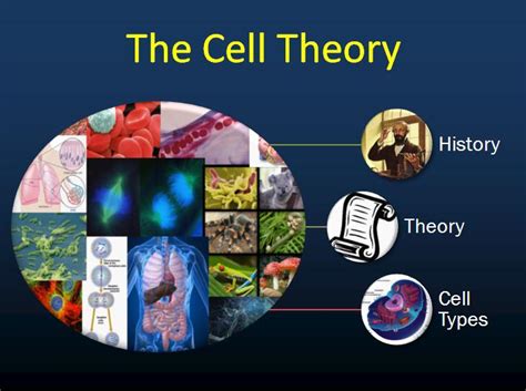 The Cell Theory – Biology Lesson