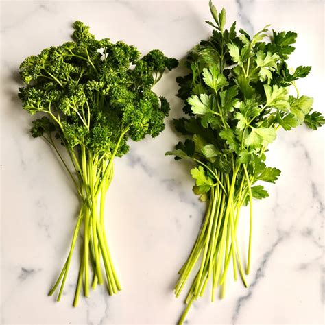 Parsley vs. Italian Parsley: What’s the Difference? - CucinaByElena