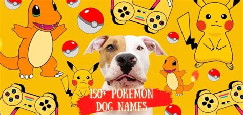 Pokemon Dog Names: The Ultimate List Pokemon Dog Names: Choose the Best for Your Pup - PetsTime