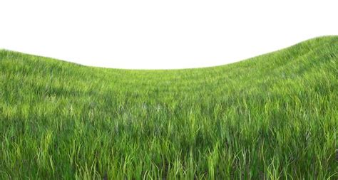 Dynamic Grass 3D model animated | CGTrader