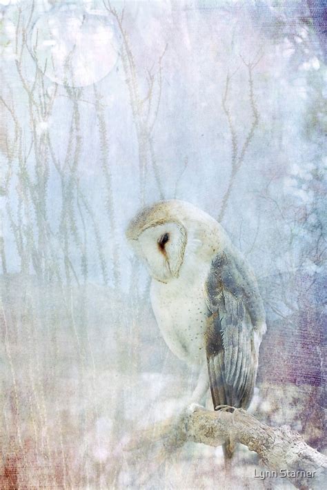 "Ghost Owl" by Lynn Starner | Redbubble