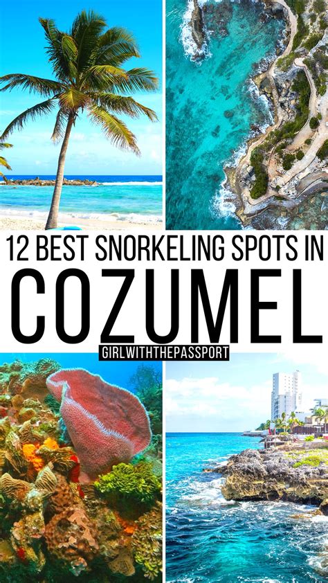 Best Snorkeling in Cozumel: 12 Amazing Spots for 2024