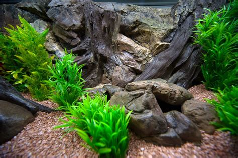 Decorative artificial stones for every aquarium. Available in 2 sizes ...