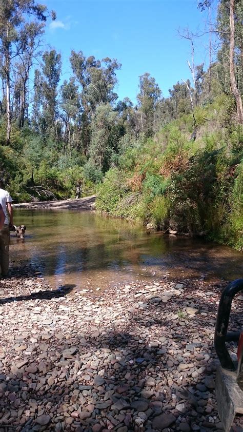 Baw Baw National Park - Baw Baw VIC 3833, Australia