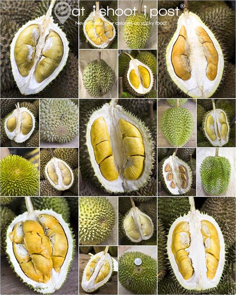 Durians - D101 Archives - ieatishootipost