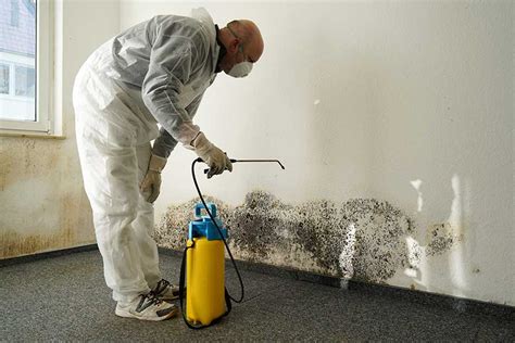 Mold Testing Services | Connecticut | Sherwood Inspection