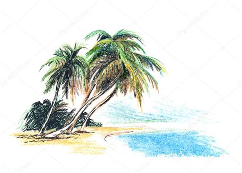 Tekening strand met palmbomen — Stockvector © onot #42518957