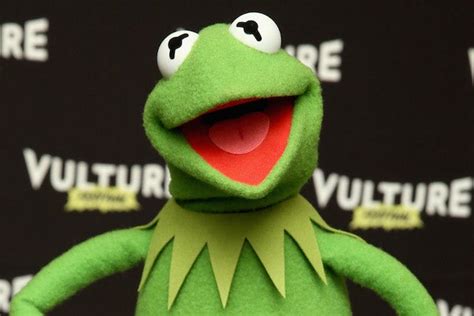 Mom Turns Herself Into Evil Kermit the Frog Meme (Photo)