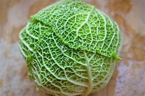 What Is Savoy Cabbage?