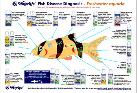 Freshwater Fish Disease Chart