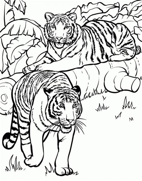 Get This Tiger Coloring Pages for Older Kids 51824