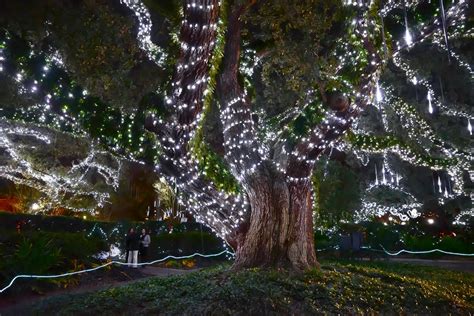 7 Christmas Light Displays In Louisiana That Are Pure Holiday Magic ...