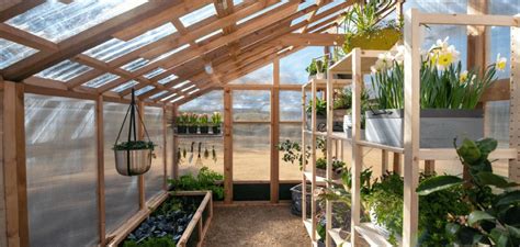 How Do You Use A Greenhouse | Chicago Land Gardening