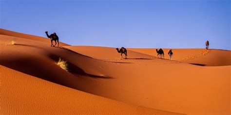 Morocco Sahara Desert: Map, Tips & Ideas for Your Visit | The Gap Decaders