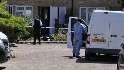 Croydon stabbing: Woman, 89, found knifed to death as police arrest man ...