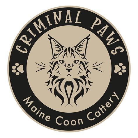 Criminal Paws - Maine Coon Cattery | Legnago