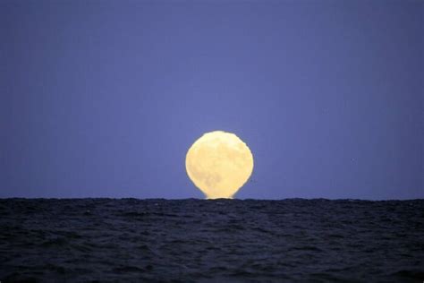 30 Photos Of The Blue Supermoon To Appreciate Before It Happens Again In 2037 | Bored Panda