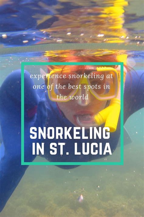 Snorkeling at St.Lucia Can Be a Thrilling Experience | Snorkeling, Dive resort, St lucia