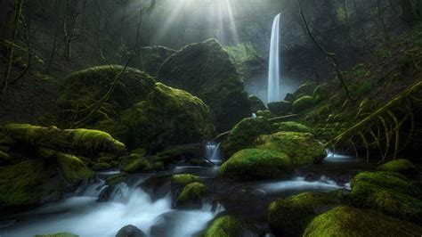 Stream Waterfall Greenery Moss Oregon HD Nature Wallpapers | HD Wallpapers | ID #45134