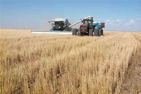 Oklahoma Farm Report - Think About Selling Part of Your Wheat This Harvest Season- So Says Dr ...