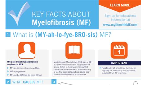 Myelofibrosis Life Expectancy | HRFnd