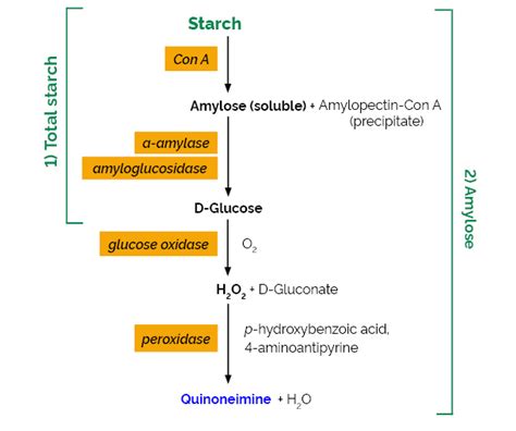 Amylose Amylopectin Assay Kit Test - Buy Amylose Amylopectin | Megazyme