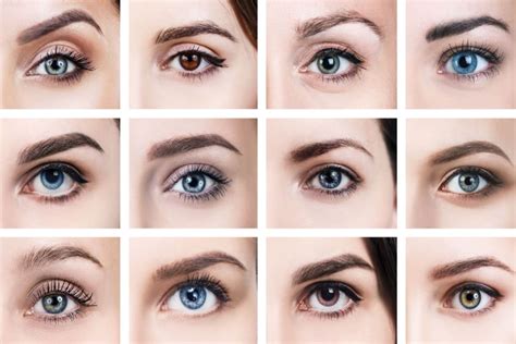 Types Of Colored Eyes | hedhofis.com