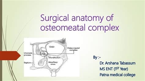 Surgical anatomy of osteomeatal complex