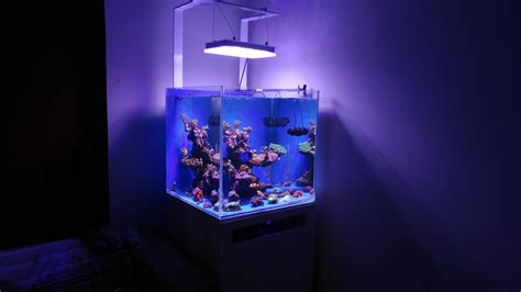 Beautiful nano reef tank display from Greece under Atlantik Compact •Orphek