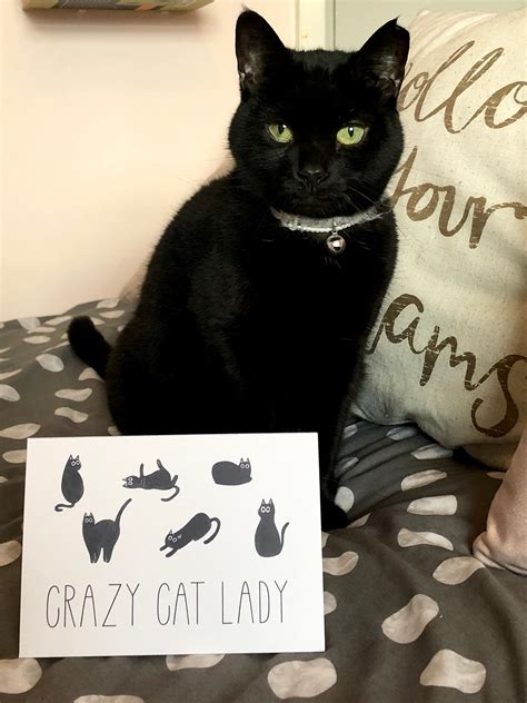 Crazy Cat Lady Card. Birthday Cat Card. Halloween Black Cat - Etsy