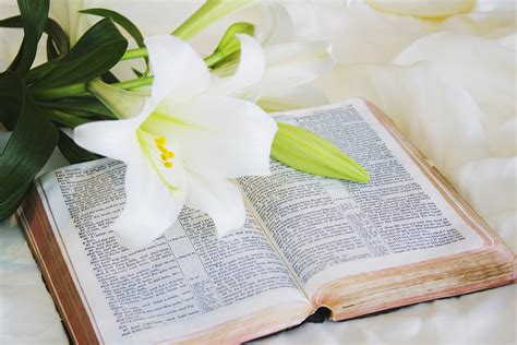 Why Are There No Old Testament Readings During the Easter Season? | Busted Halo