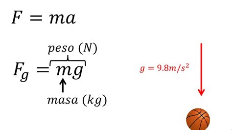 Física | Fuerza gravitacional y peso - YouTube