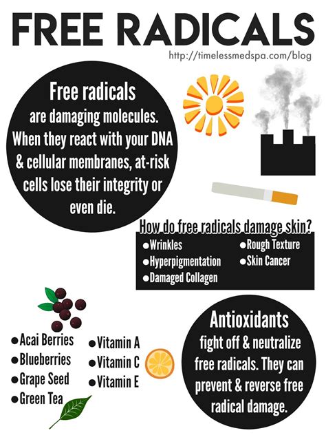 FREE RADICALS Infographic - Everything you need to know about free radical damage // TimeLess ...