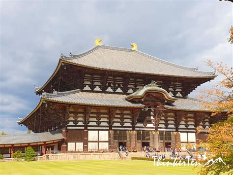 Nara Todaiji Temple - 12 things you like to learn before you go to this UNESCO World Heritage Site