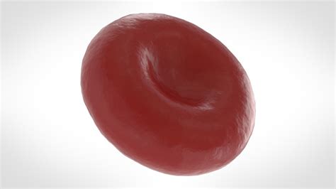 Red blood cell 3D model - TurboSquid 1367265