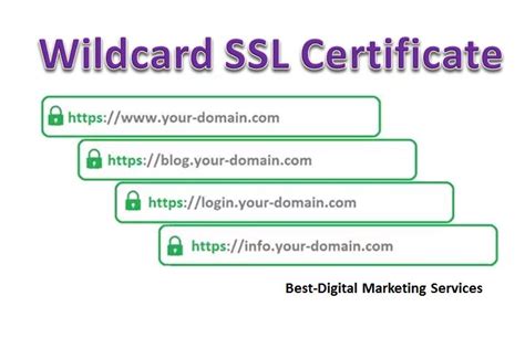 Wildcard SSL Certificates | Best Digital Marketing Agency | Web Design | Content & SEO Marketing ...