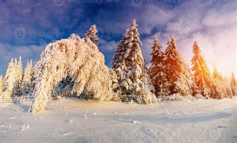 winter landscape trees in frost 7030178 Stock Photo at Vecteezy