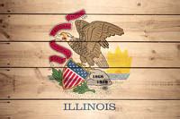 Illinois US State Flag - Description & Download this flag
